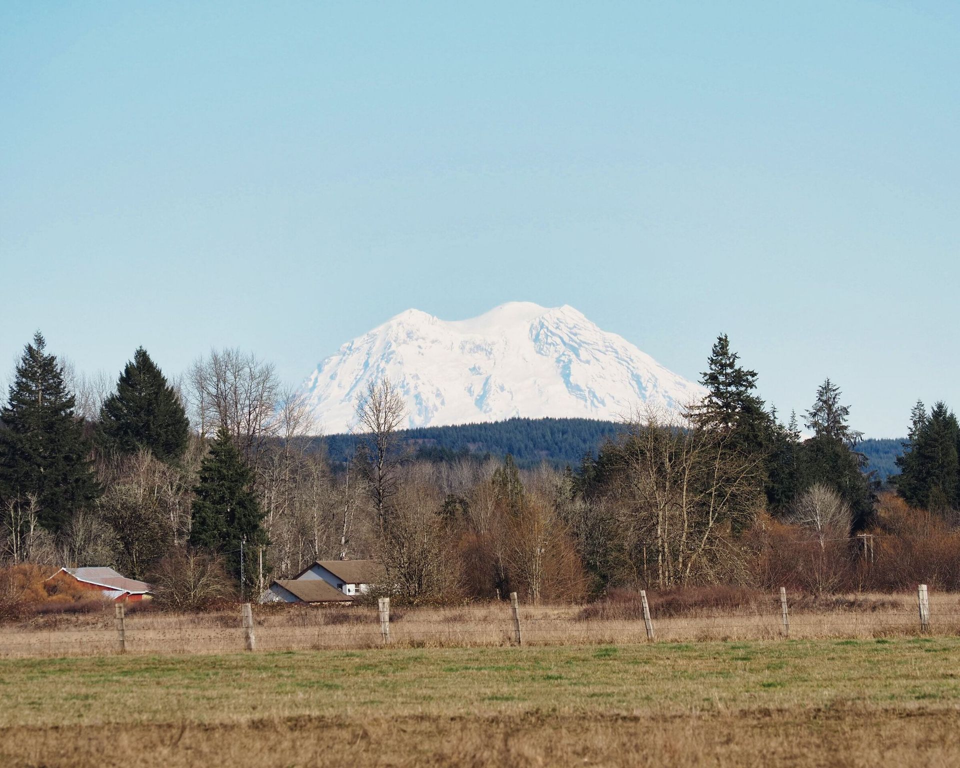 Mount Rainier above bare winter trees and a fenced farm field